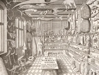 Museo de Ole Worm, Leiden, 1655
